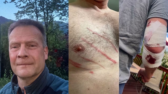 Saarinen_mustakarhu.jpg