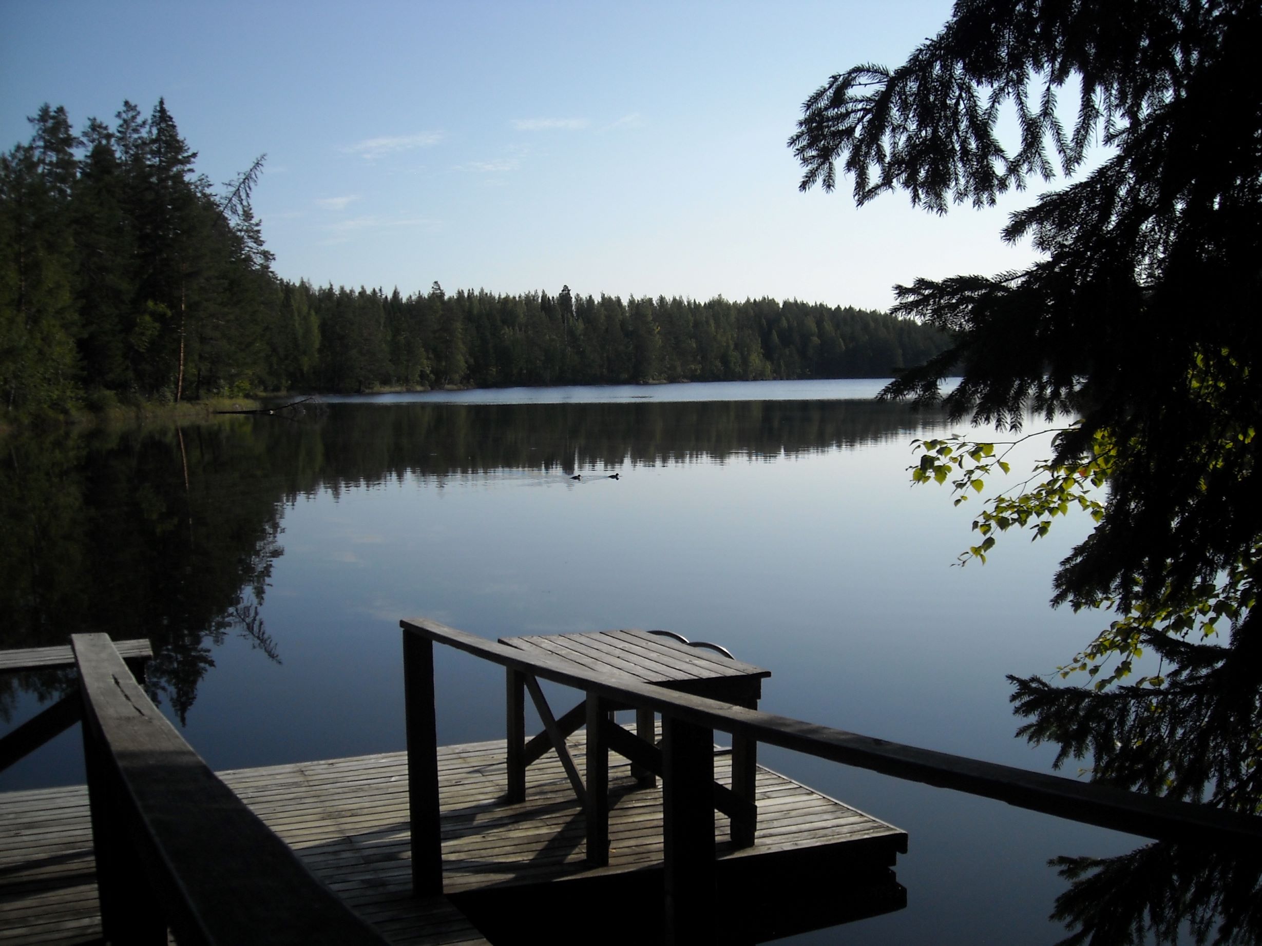 DSCN0679.JPG