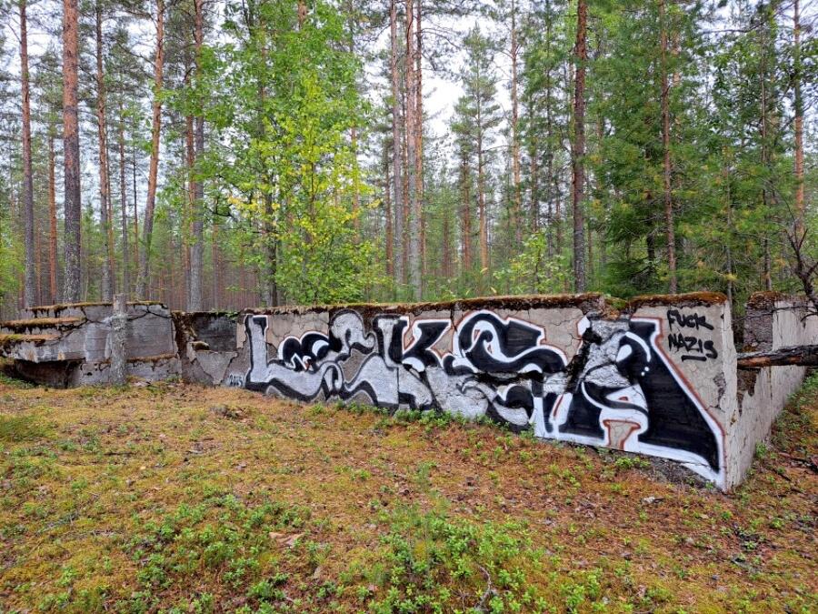 hyrylää.jpeg