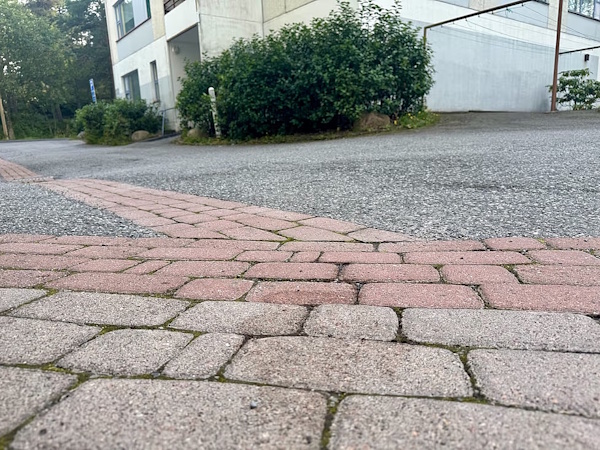 Kuvassa etualalla tahra, jonka kohdalla asukkaat kuvailivat olleen ”aika läimiskän verta”. Taustalla puska, johon poliisikoira syöksyi.jpg