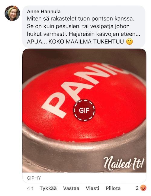 Anne_hajareisin.jpg