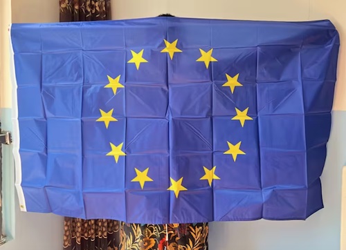 Temu_EU.jpg