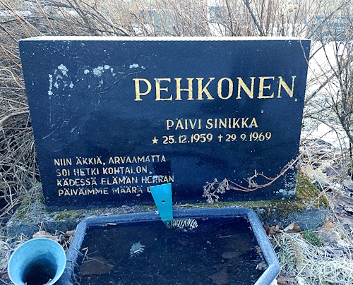 Päivi Sinikka Pehkonen.jpg