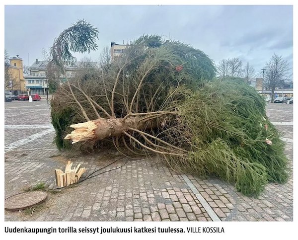 UKI_kuusi_kaatui.jpg