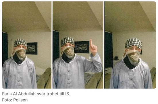 Faris_triptyykki.jpg