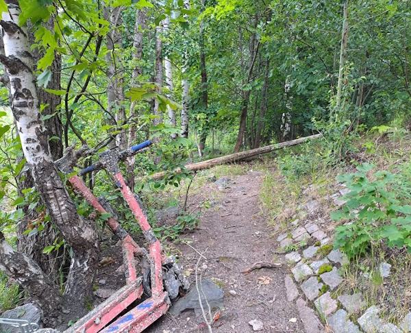 Ampuja johdatteli uhrin polkua pitkin metsikköön.jpg