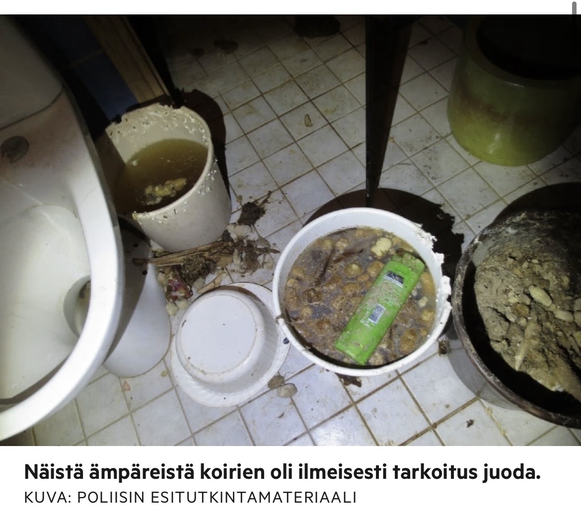 IMG_6241.jpeg