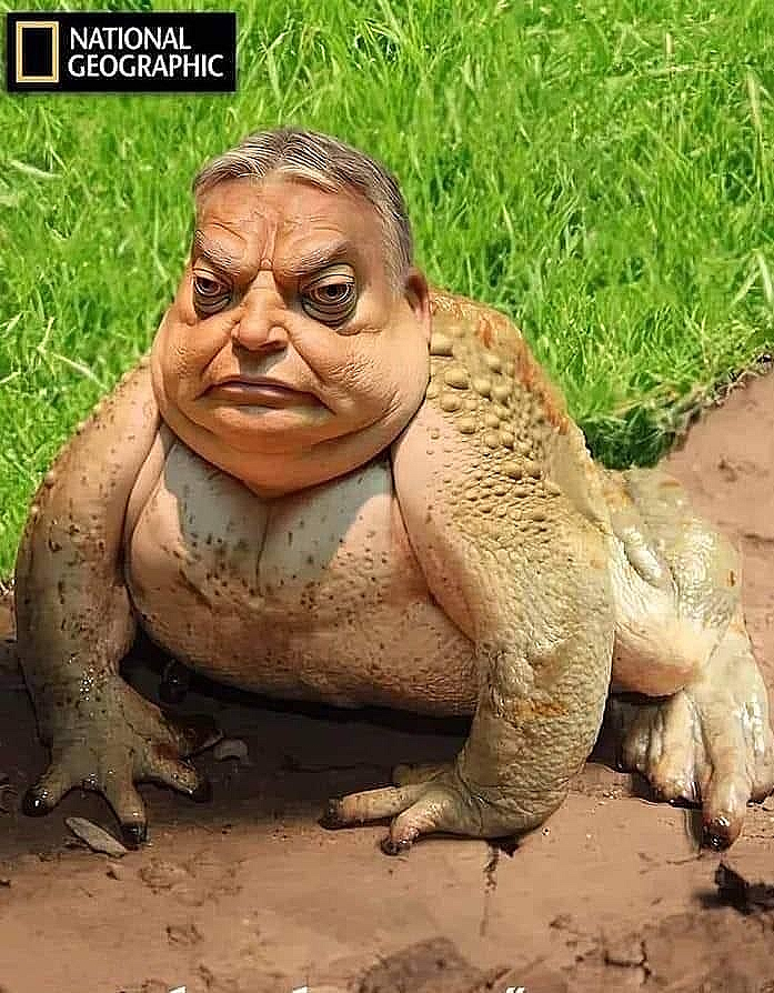 Orban.jpg