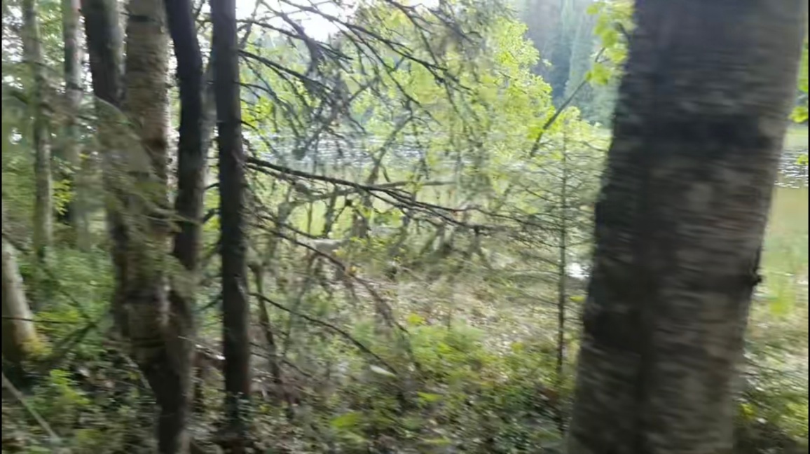 Screenshot_20260420_194454_TikTok.jpg