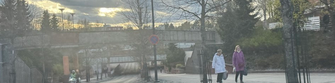 koivukyla-huumetori.png