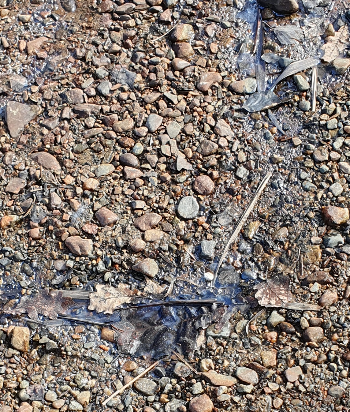 20260412_153549.jpg