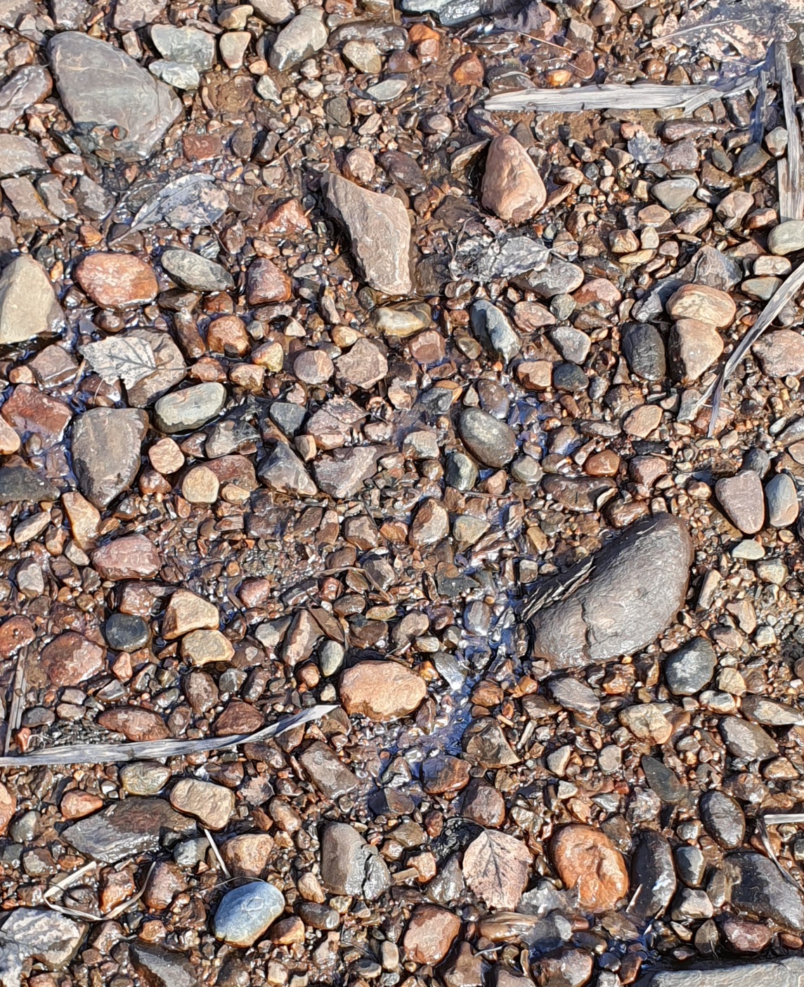 20260412_153540.jpg