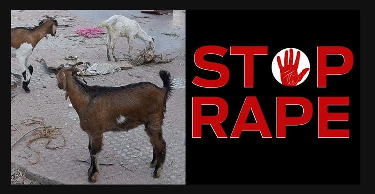 stop-rape!.jpeg