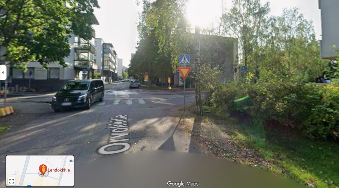 Orvokki-lehdokki-vuokko-jamonimuu.jpg