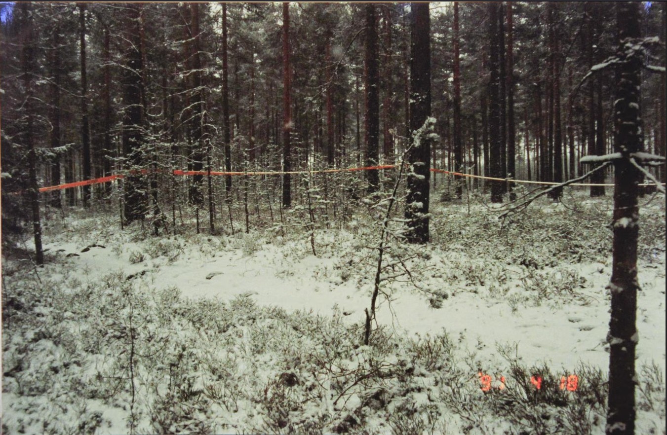 TuulaLukkarinen-löytöpaikalla-poliisi.jpg