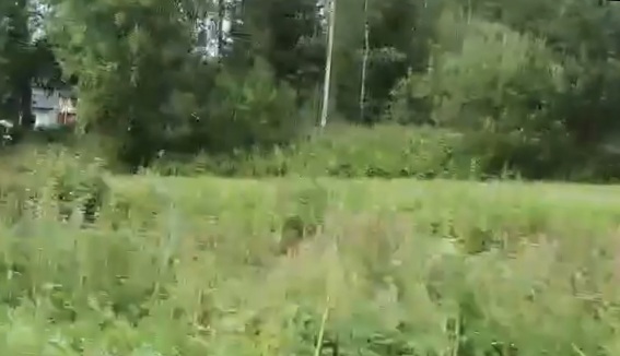 Vanhan leiritien alku Nivalaisen talon vieressä nykyisin