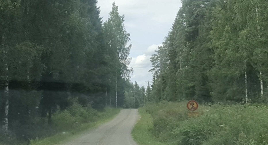 Tuliniementie Kurjen talolle päin