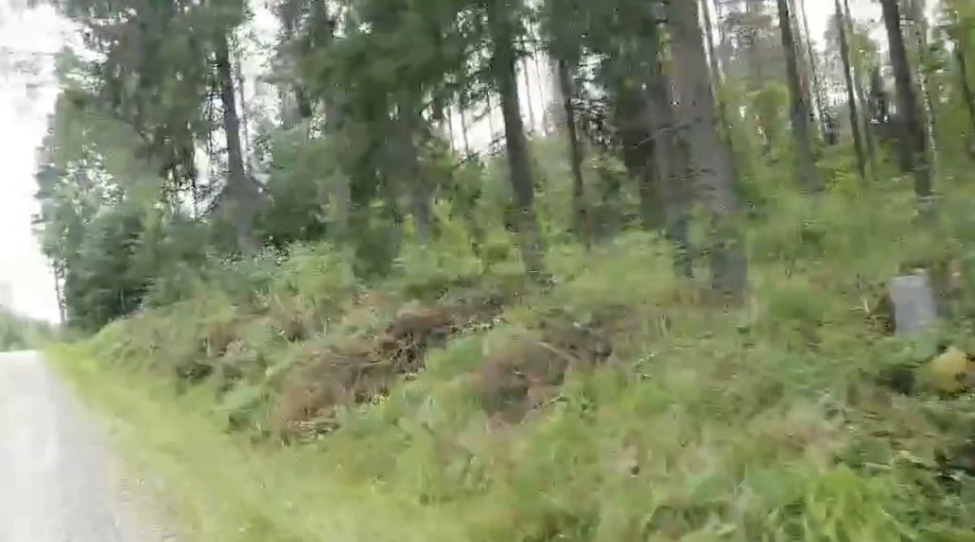 Tuliniementietä Varkaudentielle oikean puolen metsikköä Ferdin talolta Tuliniemeen päin olevaa metsää Tuliniemestä päin tullessa