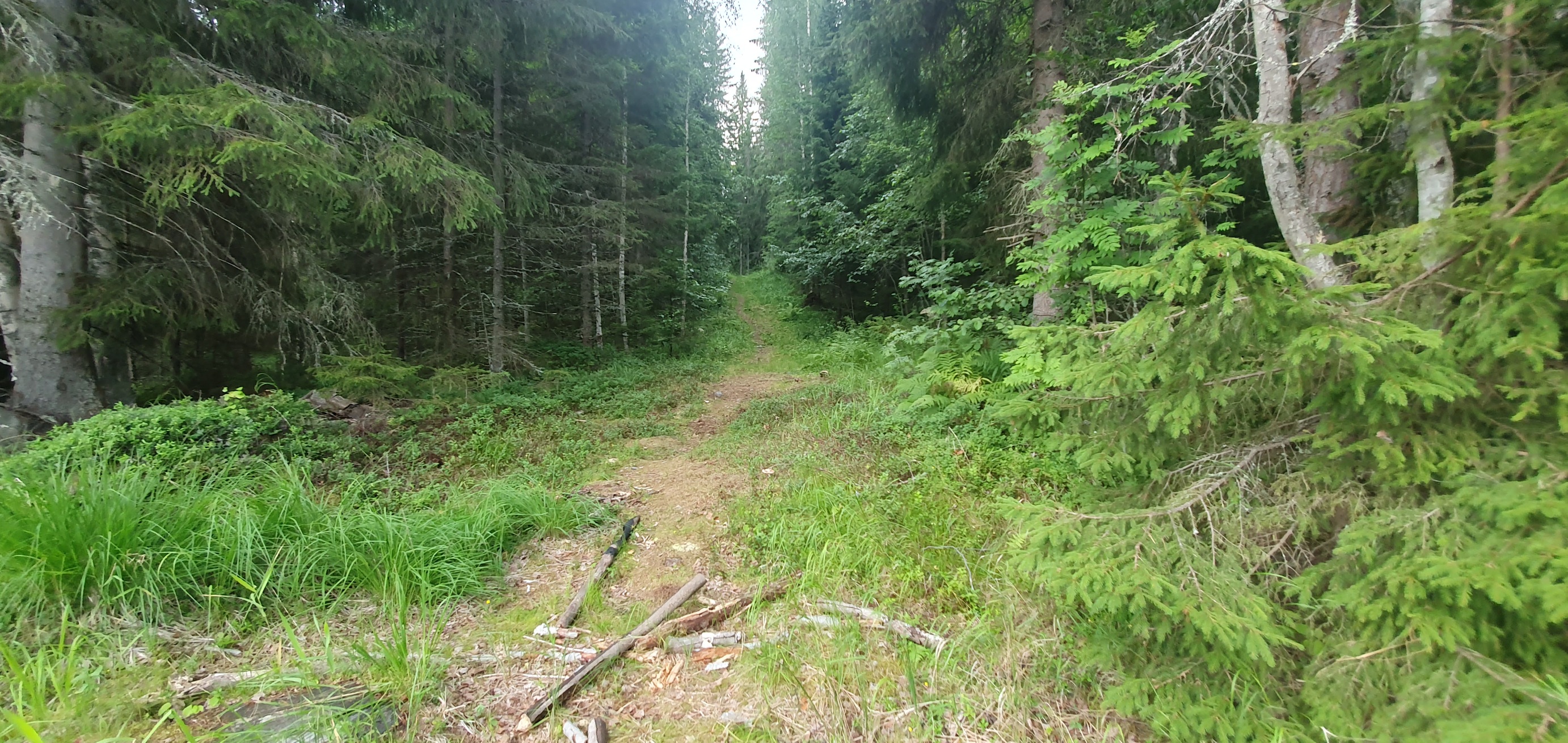 20260727_185126.jpg