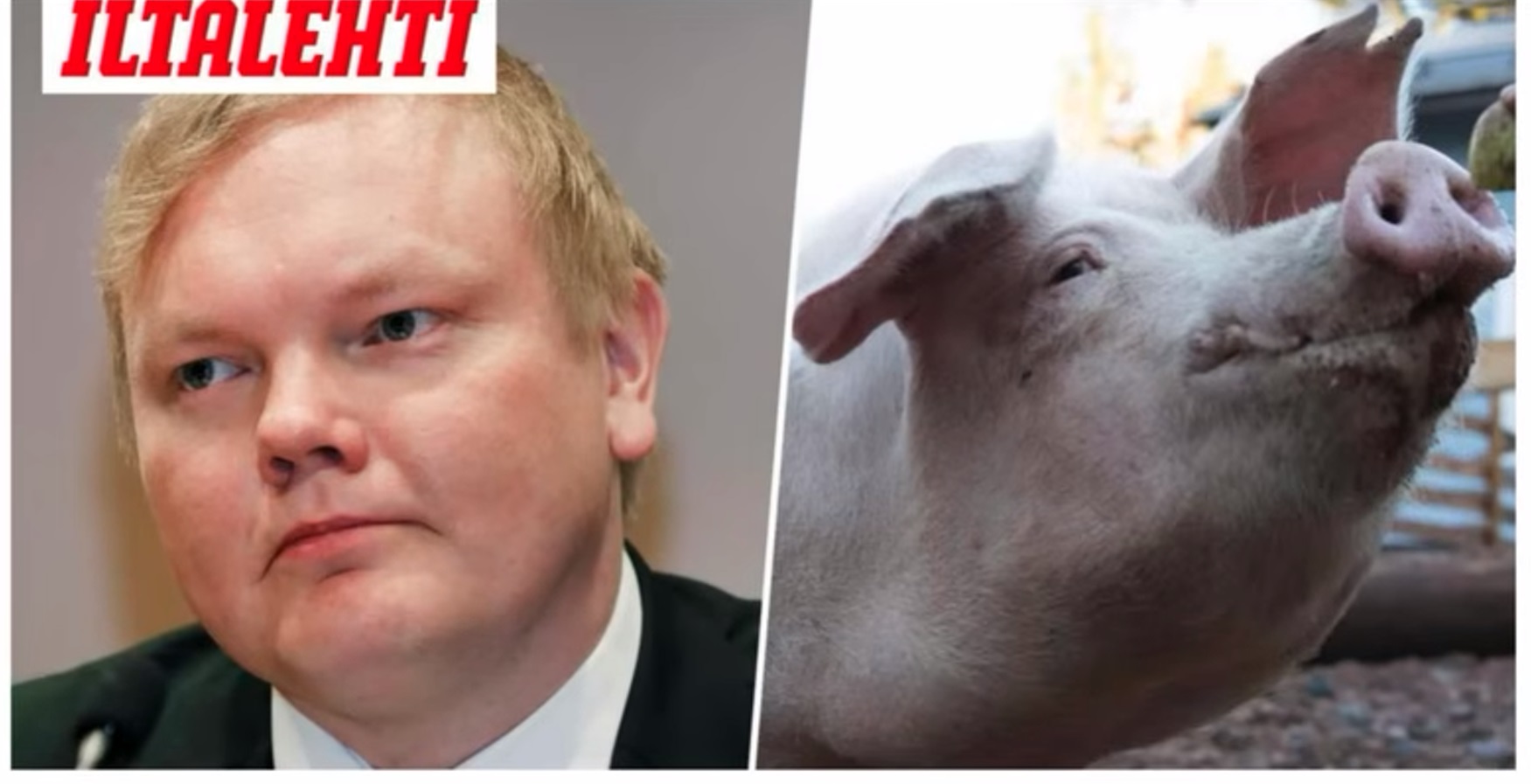 anttipossu.jpg