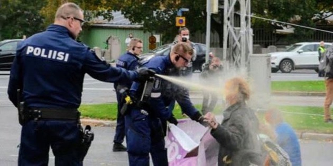 Viherpiipertäjän karkoite RAID, Tappaa talossa kuin puuterhassa, mutta gaattanilla kummasti rauhoittaa miljöötä..jpg