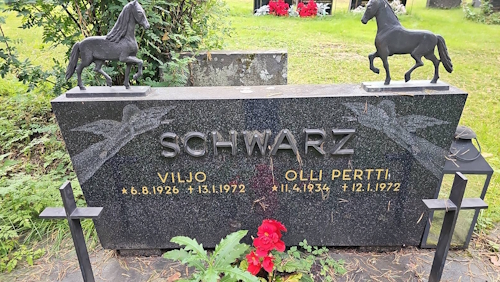 Schwartzit.jpg