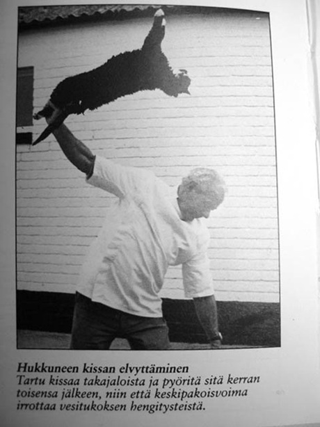 hukkuneen kissan elvyttäminen.jpg