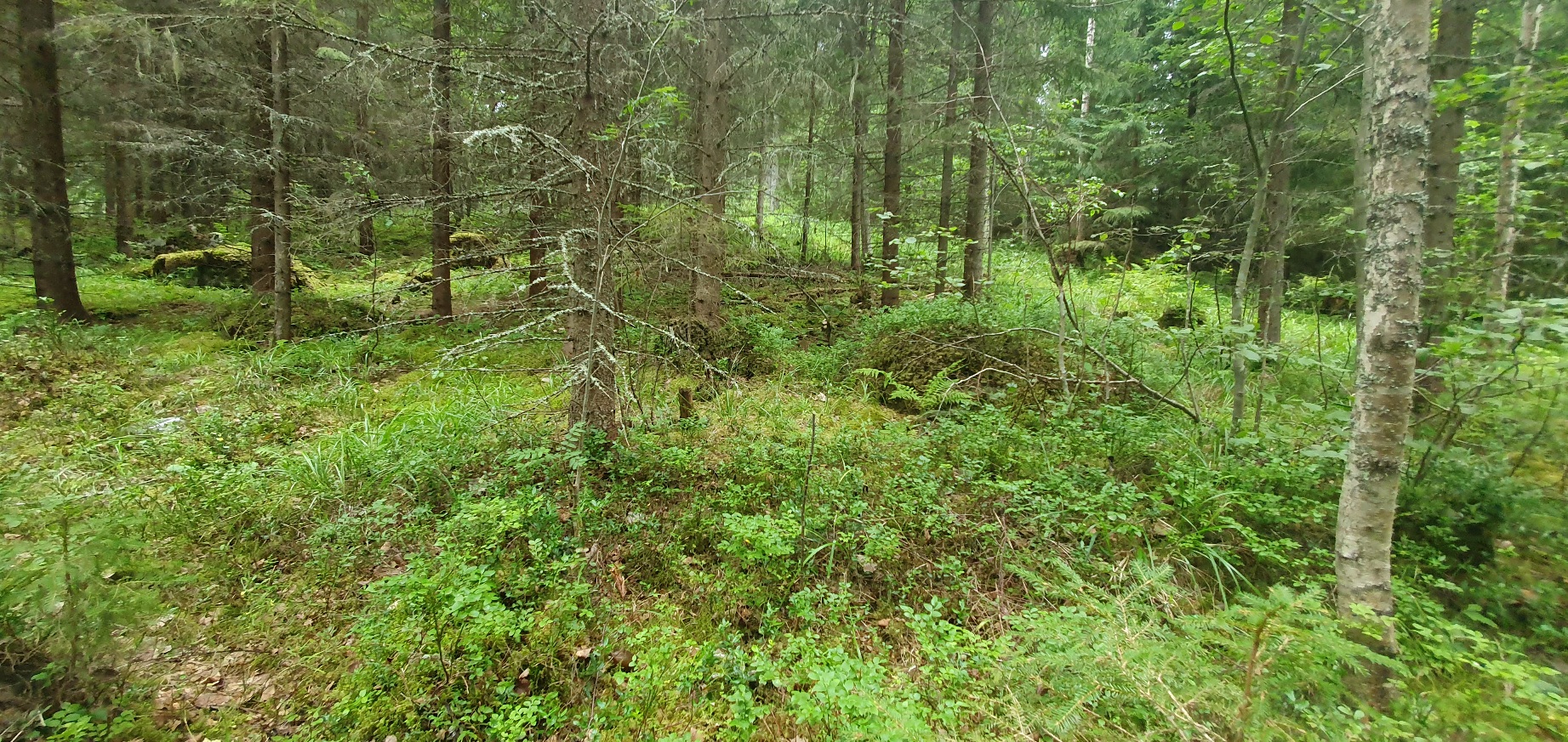 20260727_185755.jpg