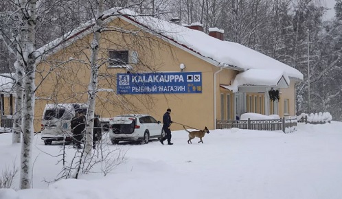 Poliisin tutkijoiden ohella kalakaupan ympäristöä haravoitiin poliisikoiran voimin. Kuva Pia Kaskinen.