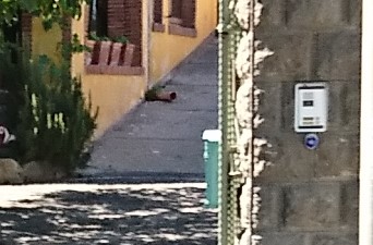 DSC_0202 1.JPG