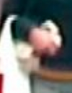 hanskat.png