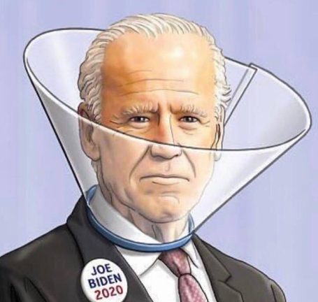biden-2020-.png