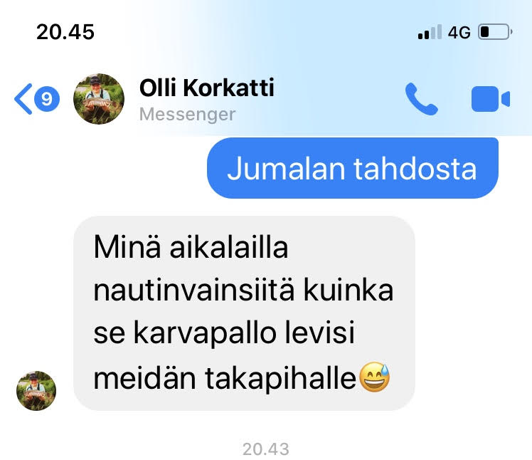 olli.jpg