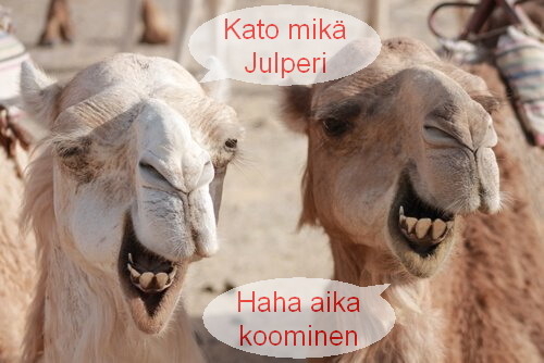 kamelin-ja-dromedaarin-erot.jpg